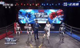 机器人格斗大赛视频,钢铁战士的巅峰对决